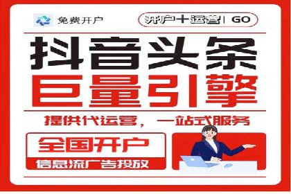 成功SEM服务案例分析报告